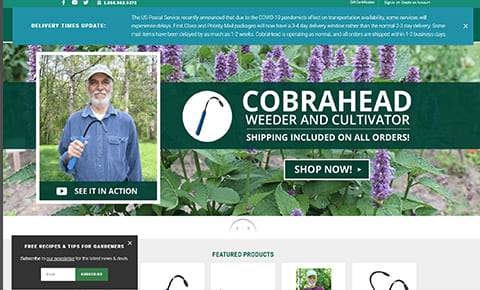 www.cobrahead.com