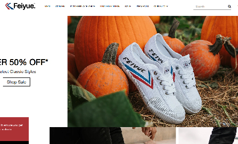 https://feiyue-shoes.com/